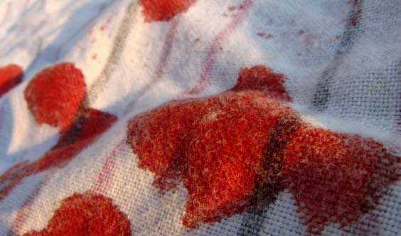 Pompeii Rook uitgebreid Hoe krijg je bloed uit kleding | Verse en Gedroogde Bloedvlekken | MeerWeten