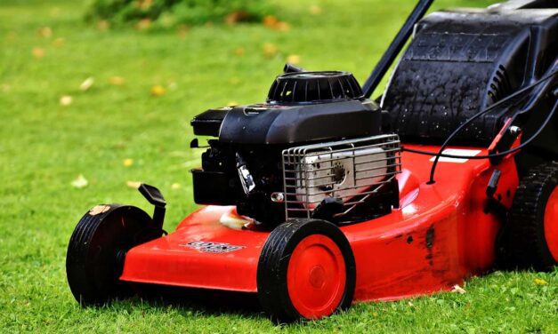 Tips voor het maaien van gras. Hoe maai je jouw gazon?