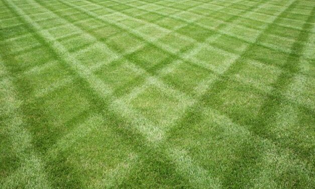 Gazon maaien met patronen