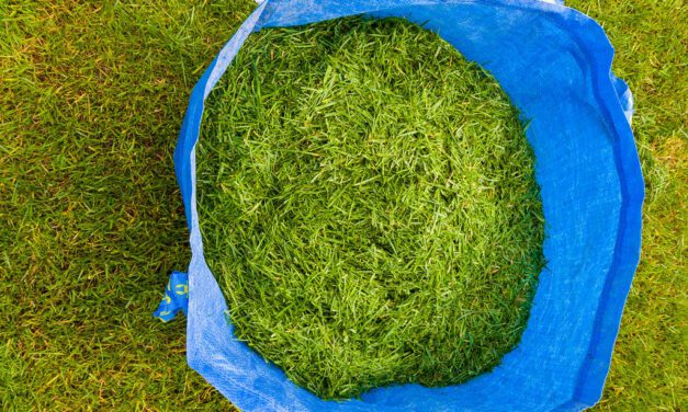 Wat te doen met gemaaid gras? Tips voor het recyclen van gemaaid gras