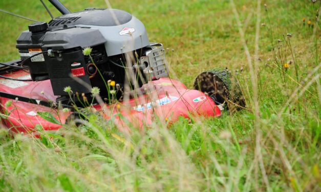 Hoe gras composteren?